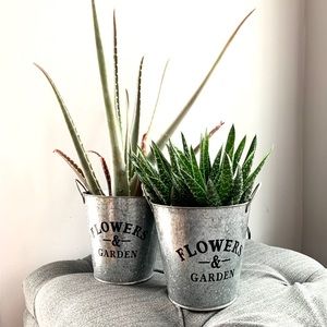 BRAND NEW set of 2 farmhouse shabby chic planters
